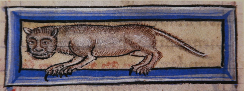 "De medicina ex animalibus", Sextus Placitus, Anglia, koniec XII wieku